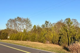Melvin Hill Road image 17