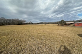 174 Peach Shed Road image 11