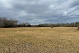 174 Peach Shed Road image 14