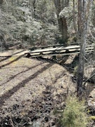 634 Crowe Creek Trail image 8