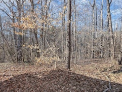 634 Fawn Branch Trail image 26