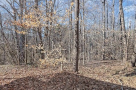 634 Fawn Branch Trail image 26