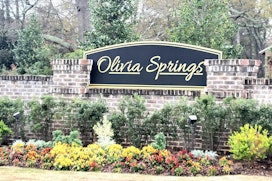 627 Olivia Springs Dr image 33