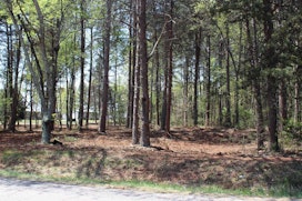 Lot 3 Peachtree Road image 1