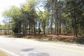 Lot 3 Peachtree Road image 10