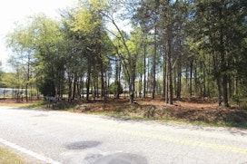 Lot 3 Peachtree Road image 11