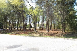 Lot 3 Peachtree Road image 12