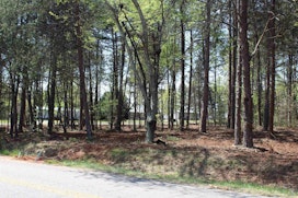 Lot 3 Peachtree Road image 2