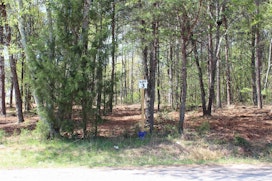 Lot 3 Peachtree Road image 5
