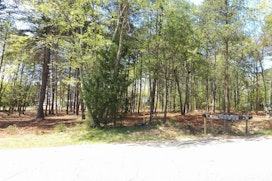Lot 3 Peachtree Road image 7