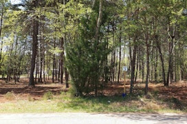Lot 3 Peachtree Road image 8