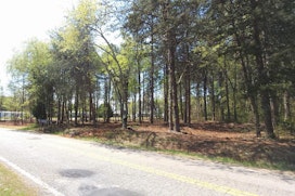 Lot 3 Peachtree Road image 9