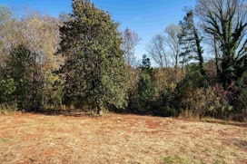 171 Riverbluff Extension image 23